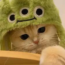 อัยยวัฒน์ ศรีวัฒนประภา avatar